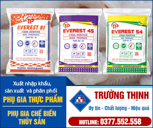 CÔNG TY Cổ PHầN ĐầU Tư XÂY DựNG & THươNG MạI TRườNG THịNH