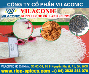 CÔNG TY Cổ PHầN VILACONIC