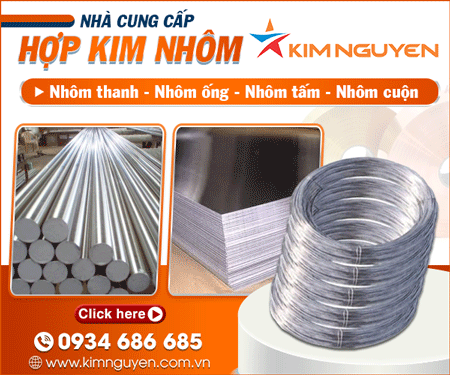 CÔNG TY Cổ PHầN QUốC Tế KIM NGUYÊN - NHÔM