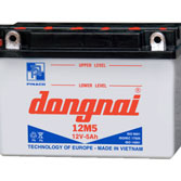 Ắc quy truyền thống 12M5D