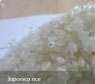 Japonica rice
