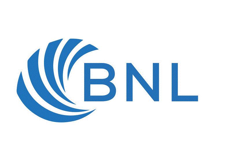 Bốc Xếp Hàng Hóa Bảo Ngọc Linh - Công Ty TNHH DV Bảo Ngọc Linh - BNL