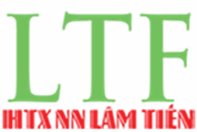 Sầu Riêng Và Vải Thiều Đông Lạnh Lâm Tiến - Hợp Tác Xã Thương Mại Và Dịch Vụ Nông Nghiệp Lâm Tiến