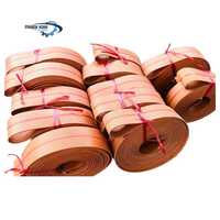 Băng tải bố 5 lớp (dây trần)