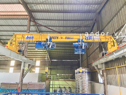 Cẩu trục dầm đơn 2 palăng