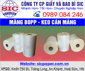 CÔNG TY Cổ PHầN GIấY VÀ BAO BÌ SIC