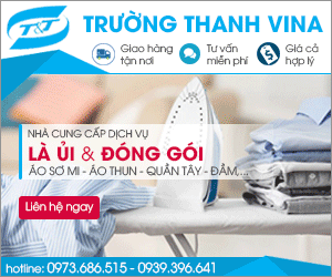 CÔNG TY TNHH THươNG MạI DịCH Vụ TRườNG THANH VINA