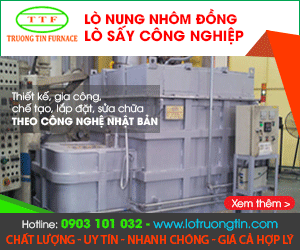 CÔNG TY TNHH LÒ TRườNG TÍN