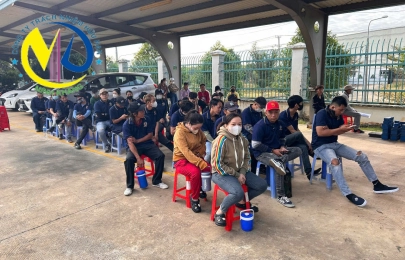 Dịch vụ cho thuê lại lao động