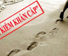 Dịch vụ tư vấn tìm kiếm